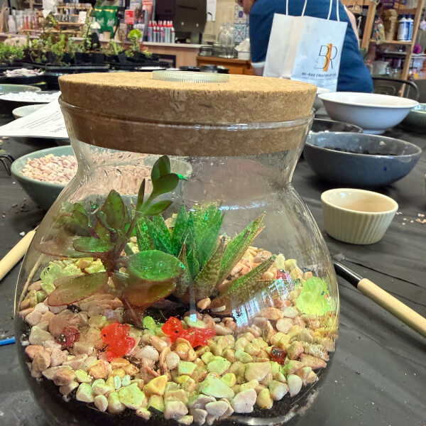 Serene Terrarium Workshop for Beginners review by Dylan Cohen - Melbourne