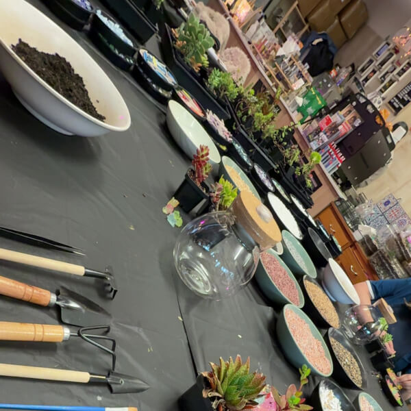 Serene Terrarium Workshop for Beginners review by Dylan Cohen - Melbourne